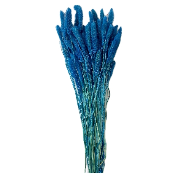 Sušina Setaria 100gr azzurro