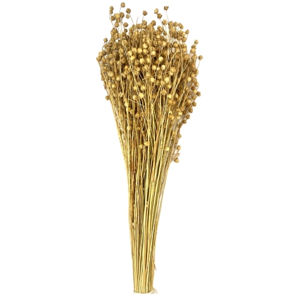 Sušina Lino 100gr natur