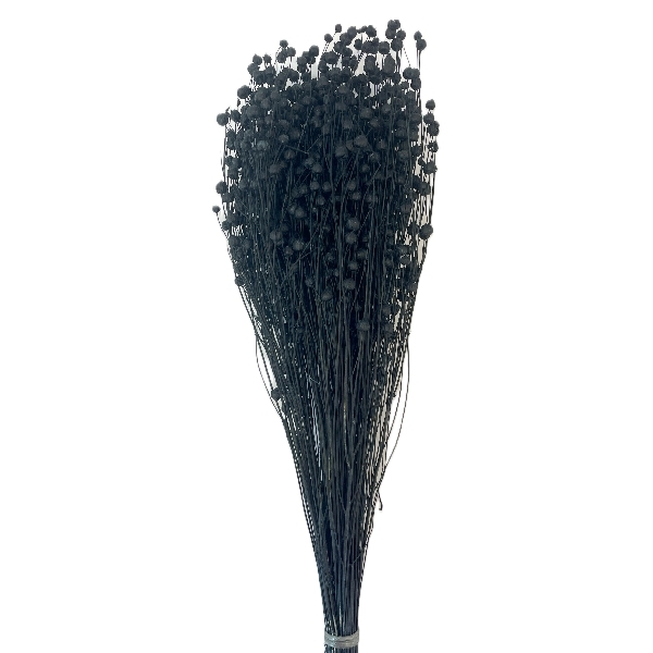 Sušina Lino 100gr černé