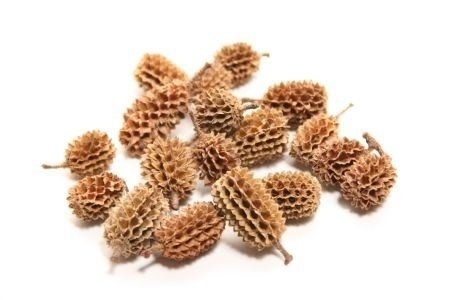 SU Casurina Pods 750gr natur