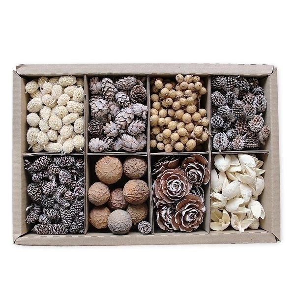 Sušina mix box 640g natural