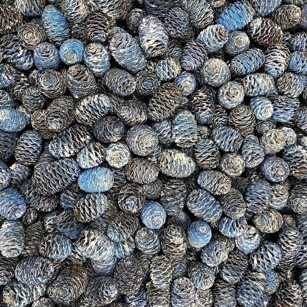 Sušina SABULOSUM LOOSE FROSTED BLUE cca250gr