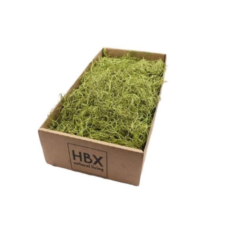 Satbilizovaný mos Tillandsia sv. zelený 350gr