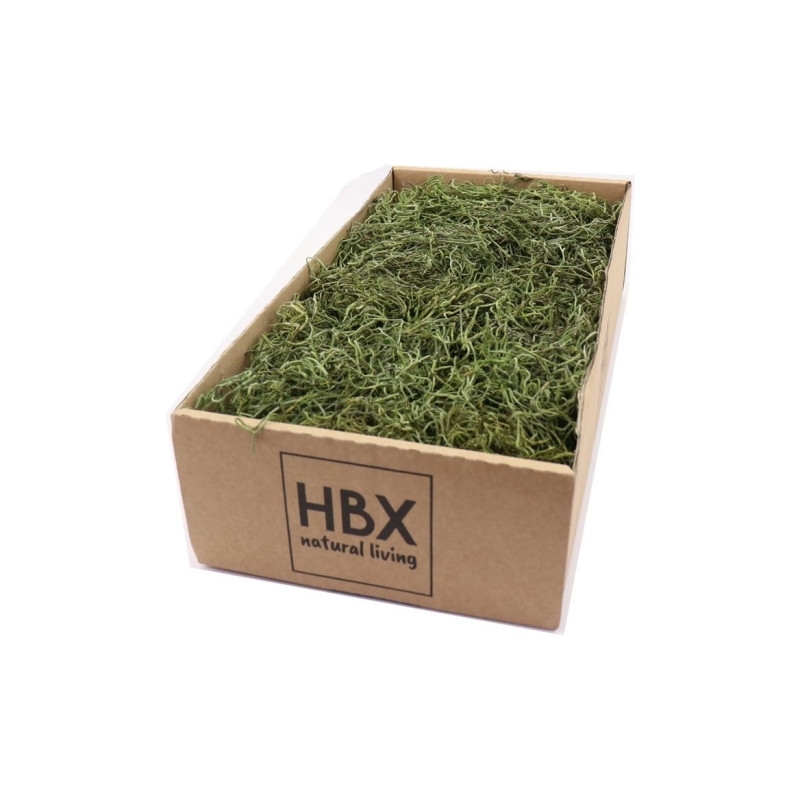 Satbilizovaný mos Tillandsia tm. zelený 350gr