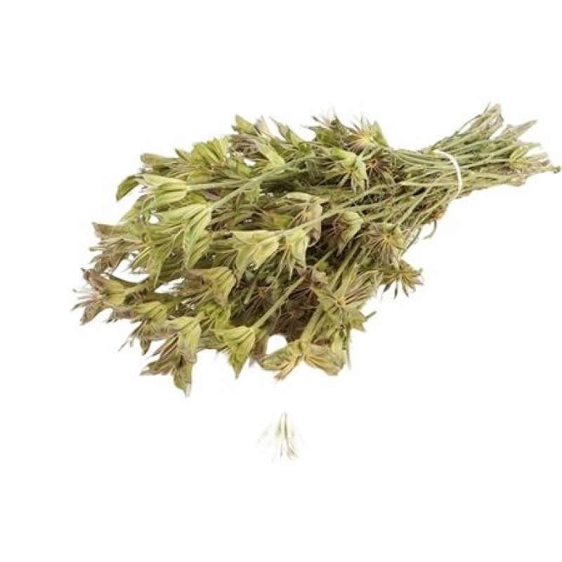 SU Nigella Orientalis dl.45cm 50g